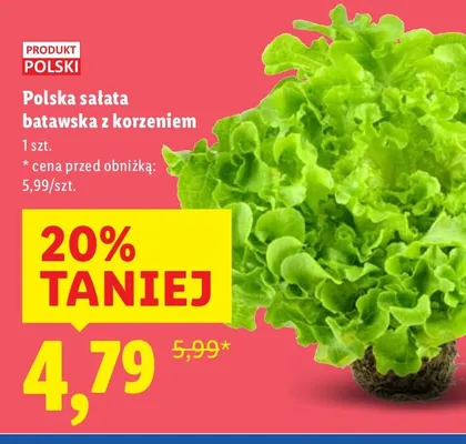 Sałata promocja w Lidl