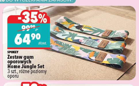 Zestaw gum oporowych Home Jungle Set Spokey promocja w Biedronka Home