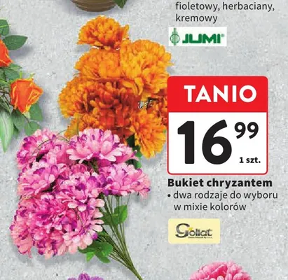 Bukiet chryzantem Goliat promocja w Intermarche
