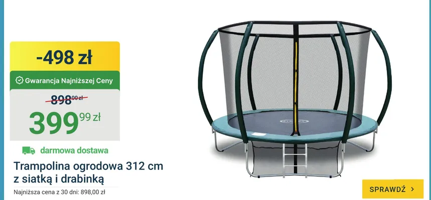 Trampolina ogrodowa 312cm z siatką i drabinką promocja w ERLI