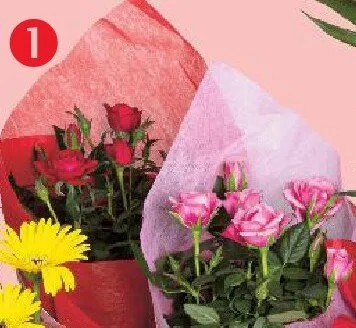 Róża w osłonce z serwetką wys. 28-32cm śr. don. 12cm promocja w Kaufland