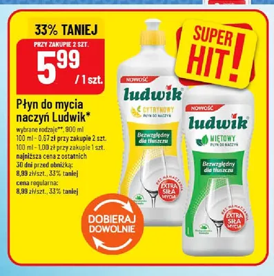 Płyn do mycia naczyń miętowy Ludwik promocja w POLOmarket