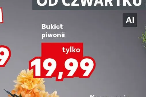 Bukiet piwonii promocja w Kaufland