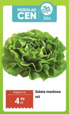 Sałata masłowa 1 szt. promocja w Dino