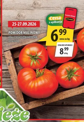 Pomidory malinowe polskie promocja w Arhelan