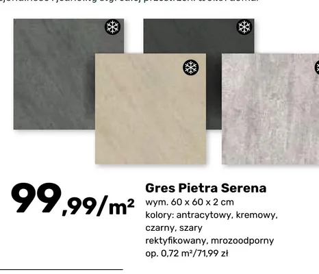 Gres Pietra Serena szary 60x60x2 cm promocja w Bricomarche
