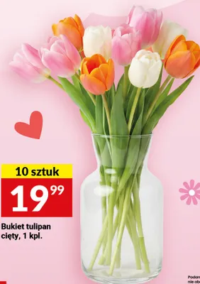 Bukiet tulipan cięty promocja w Twój Market