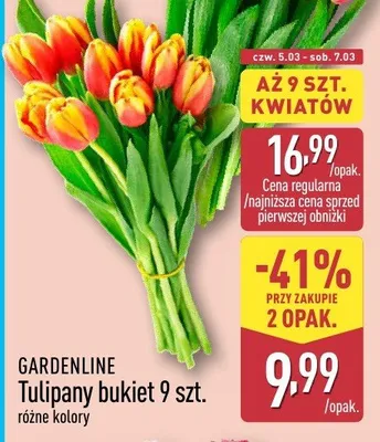 Tulipany bukiet 9 szt. różne kolory promocja w Aldi