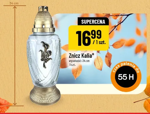 Znicz Kalia promocja w POLOmarket