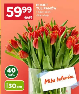 Bukiet tulipanów 40 szt. promocja w Stokrotka