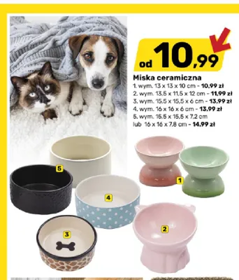 Miska ceramiczna dla zwierząt 15,5x15,5x7,2 cm lub 16x16x7,8 promocja w Bricomarche