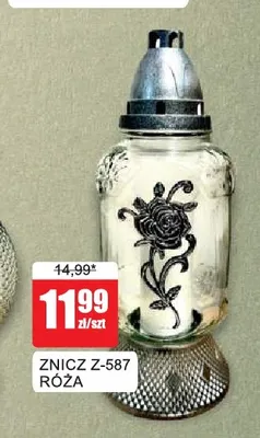Znicz Z-587 Róża promocja w Bingo