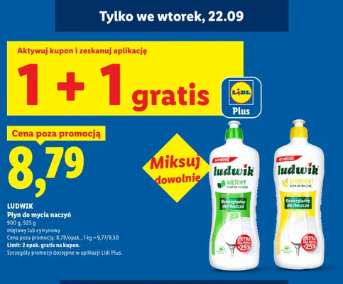 Płyn do mycia naczyń Ludwik miętowy promocja w Lidl