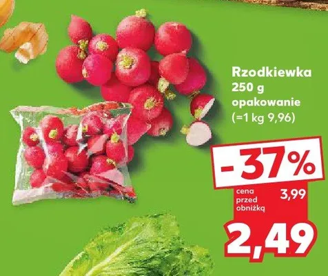 Rzodkiewka promocja w Kaufland