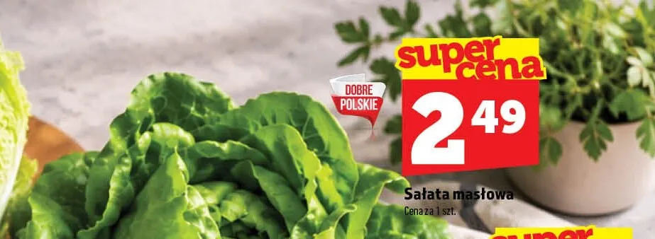 Sałata masłowa promocja w TOPAZ