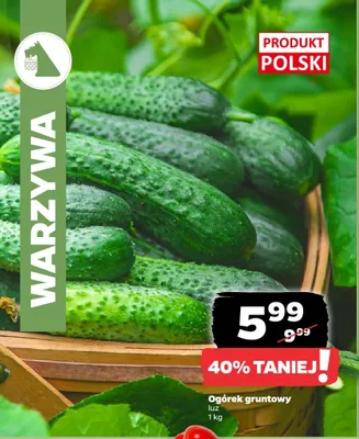 Ogórek gruntowy polski promocja w Netto