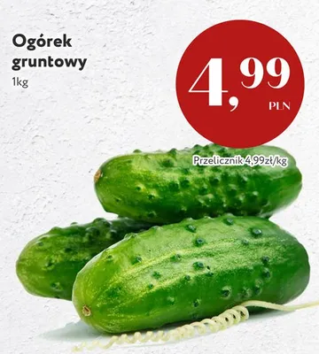Ogórek gruntowy promocja w Market Point