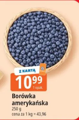 Borówka amerykańska promocja w Leclerc