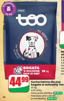 Sucha karma dla psa bogata w wołowinę Teo promocja w Dino