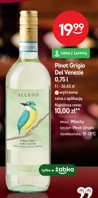 Wino wytrawne Pinot Grigio Del Venezie Tinazzi Alcedo promocja w Żabka