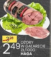 Ozory w galarecie promocja w Wafelek