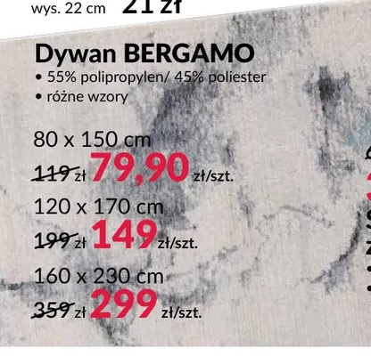 Dywan Bergamo 120x170 cm promocja w Salony Agata
