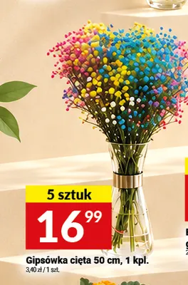 Gipsówka cięta 50 cm promocja w Twój Market