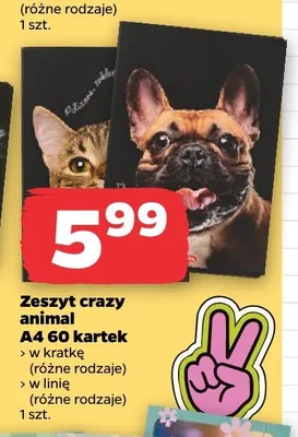 Zeszyt crazy animal A4 60 kartek w kratkę Herlitz promocja w Netto