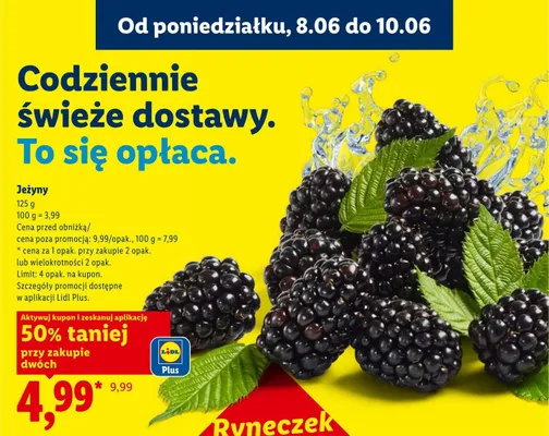 Jeżyny promocja w Lidl