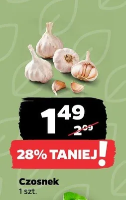 Czosnek 1 szt. promocja w Netto
