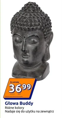 Głowa Buddy promocja w Action
