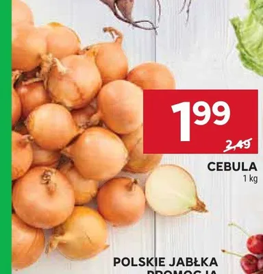 Cebula promocja w Stokrotka
