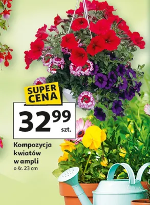Kompozycja kwiatów w ampli promocja w Auchan