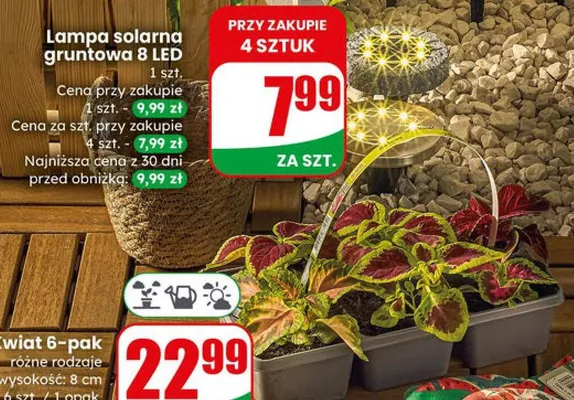Lampa solarna gruntowa 8 LED promocja w Dino