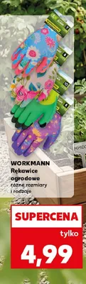 Rękawice ogrodowe WORKMANN promocja w Kaufland