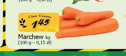 Marchew promocja w CEZAR Delikatesy