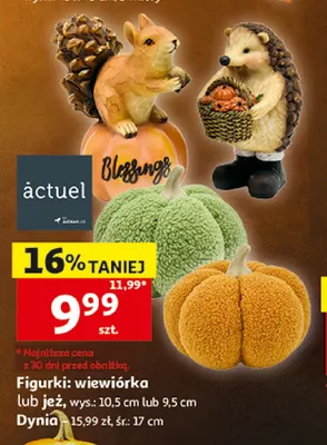 Dynia śr. 17 cm Actuel promocja w Auchan