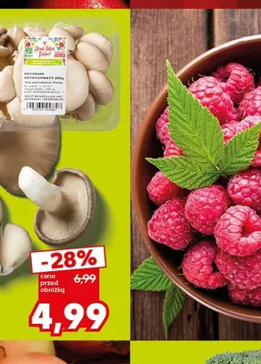 Boczniak ostrygowaty Stąd Takie Dobre! promocja w Kaufland