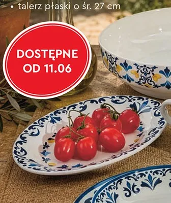 Półmisek owalny 30x20 cm Smukee promocja w Biedronka