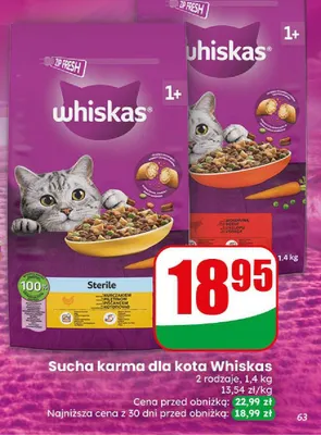 Sucha karma dla kota Whiskas 1+ z wołowiną promocja w Dino