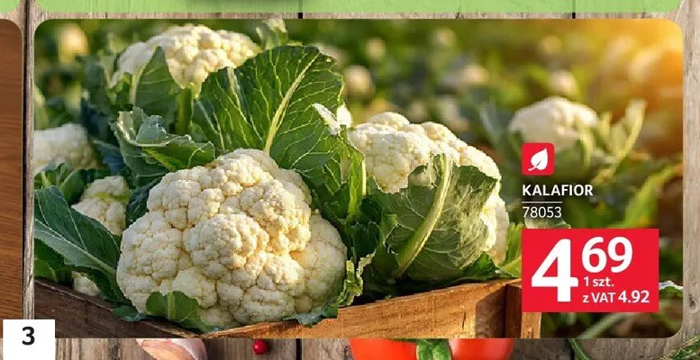 Kalafior promocja w Selgros