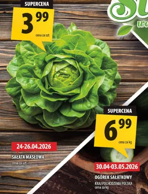 Sałata masowa promocja w Arhelan