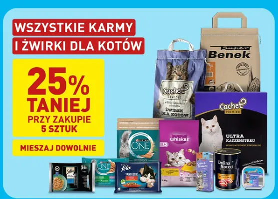 Karma dla kotów Cachet promocja w Aldi