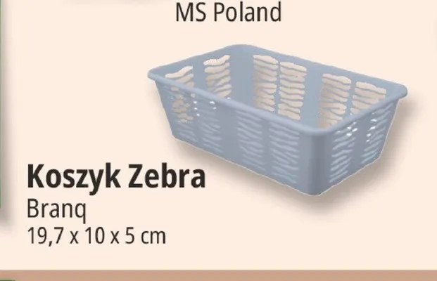 Koszyk Zebra Branq 19,7x10x5 cm promocja w Leclerc