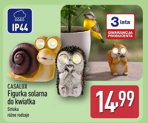 Figurka solarna do kwiatka promocja w Aldi