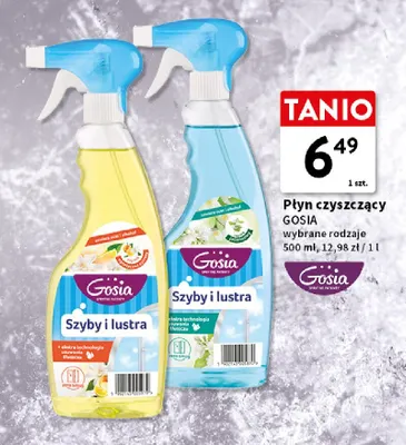 Płyn czyszczący Szyby i lustra jaśminowy Gosia promocja w Intermarche