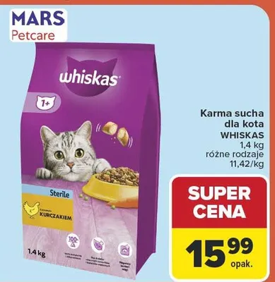Karma sucha dla kota promocja w Carrefour Market