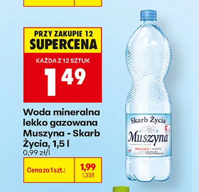 Woda mineralna lekko gazowana Muszyna - Skarb Życia promocja w Biedronka