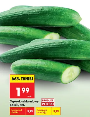 Ogórek szklarniowy promocja w Biedronka