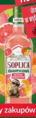 Wódka Soplica Egzotyczna Grejpfrut Mandarynka promocja w Biedronka